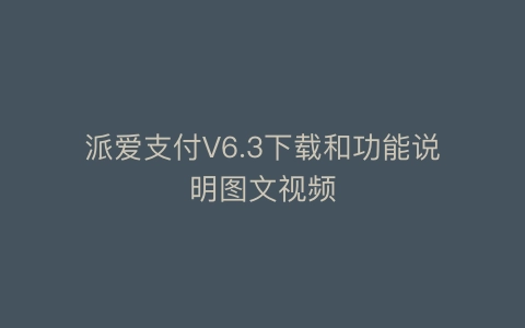派爱支付V6.3.1下载和功能说明图文视频